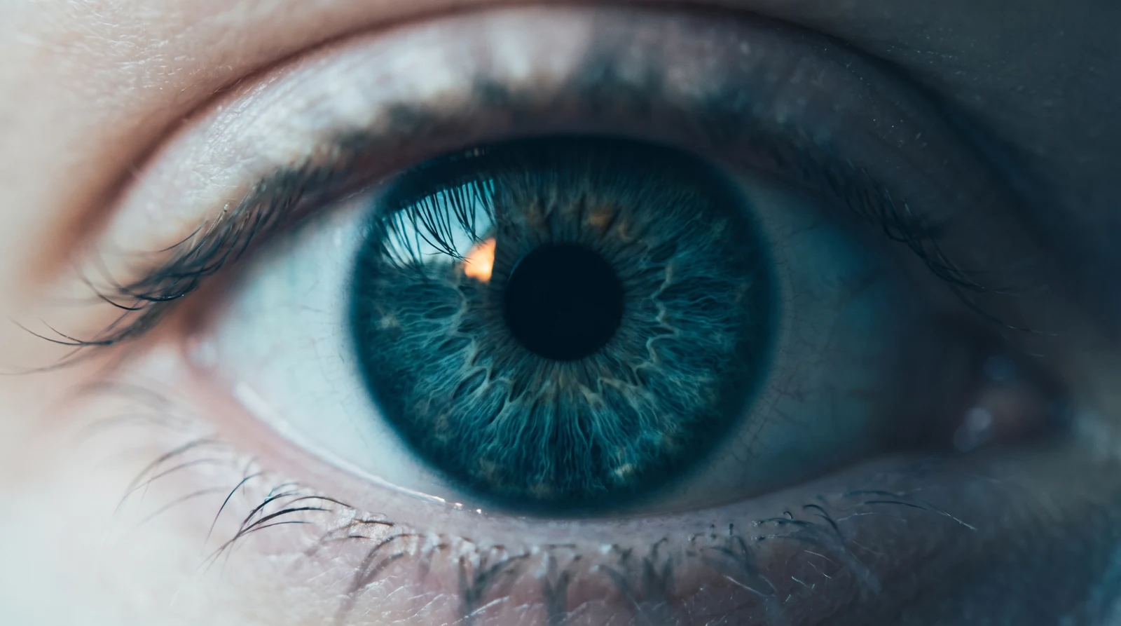 Detalhe em close de um olho humano, com a íris em foco
